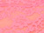 Cotton Candy