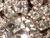 Crystal Bubble