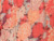 Coral Combo