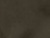 Army