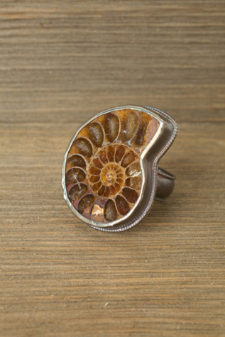 Ammonite Ring