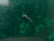 Jade Green