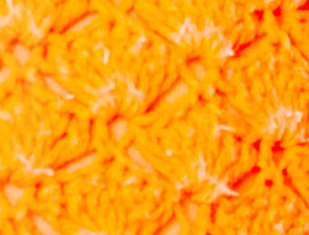Neon Orange