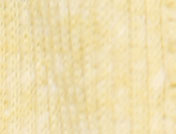 Maize