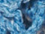 Heather Blue