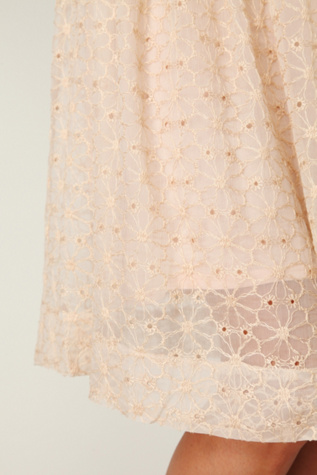 Sheer Tea Length Tank Dress