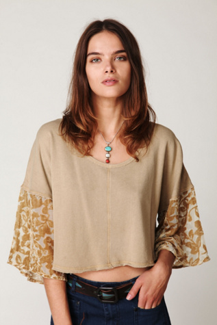 Velvet Burnout Sleeve Pullover