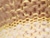 Buttercream