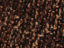 Mocha