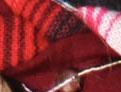 Pink Stripe