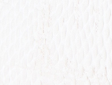 Foam