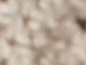Pumice