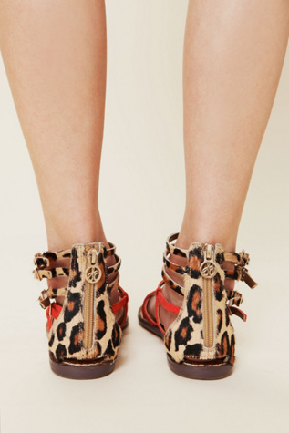 Leopard / Flamingo