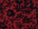 Scarlet Combo