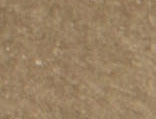 Double Point Bronze Cuff