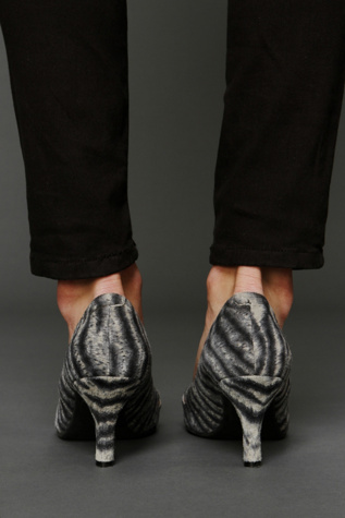 Zebra
