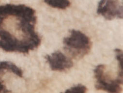 Taupe Leopard