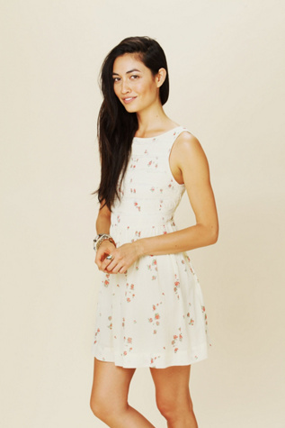 Lace Inset Fit and Flare Dress