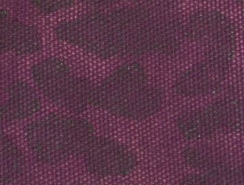 Fuschia