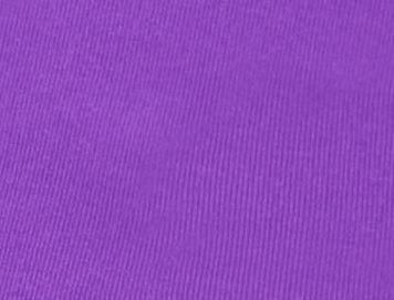 NEON PURPLE