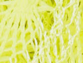 NEON YELLOW