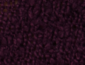 GRAPE