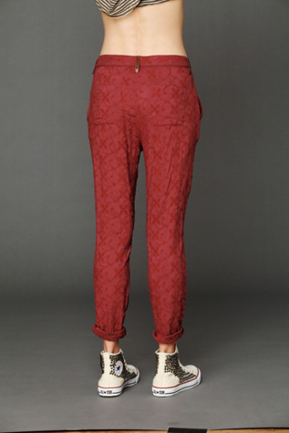 Burnt Red Solid