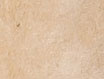 Taupe / Silver