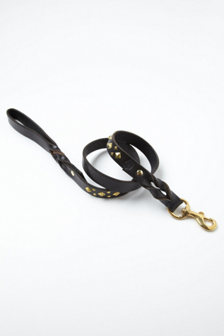 Black / Gold