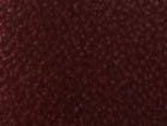 Brown / Gold