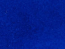 Electric Blue / Black