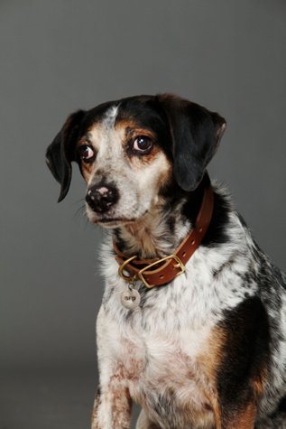 Etched Leather Collar