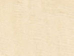 Ochre Print