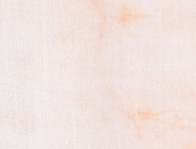 Tahari Print