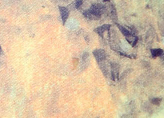 Neptune