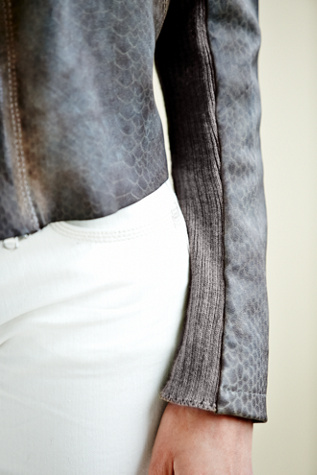 Chocolate-Blue Grey