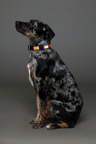 Jibu Beaded Collar