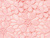 Rose Petal