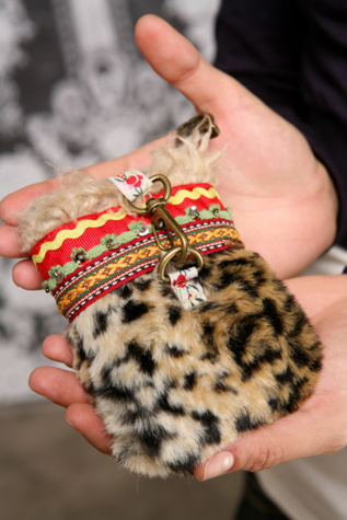 Leopard