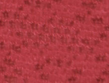 Rusty Ruby