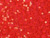 Neon Coral